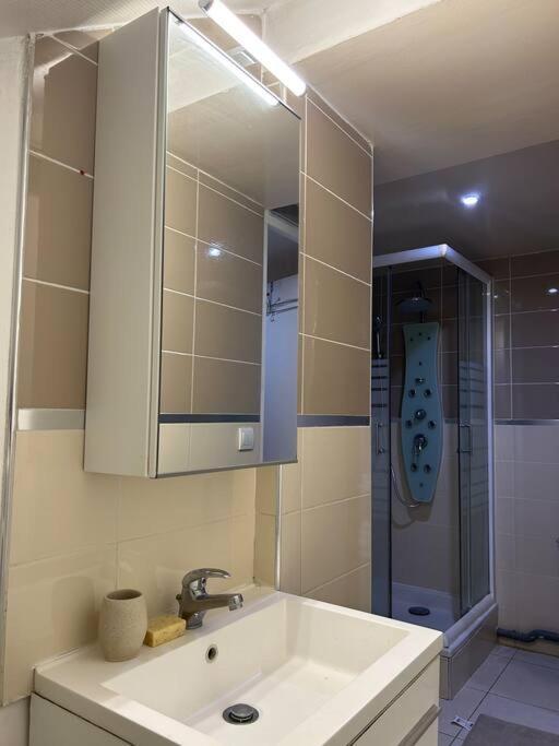 Cosy Studio - 10 Min Away From Cdg Aeroport - 30 Min Away From Paris - Parc Asterix - Olympic Games 2024 Le Thillay Εξωτερικό φωτογραφία